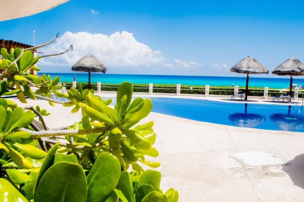 Ocean Front Villa Marlin, Best Location In Hotel Zone #109 坎昆 外观 照片